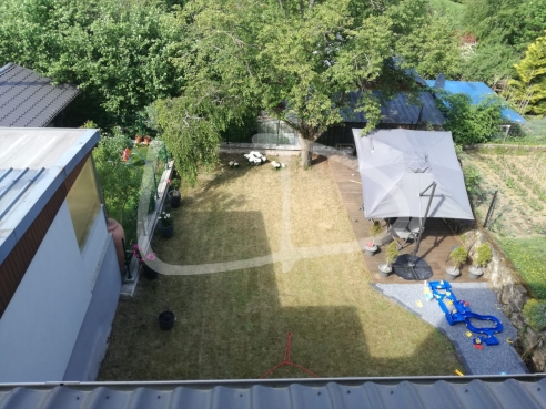 WhatsApp Image 2022-11-15 at 07.20.07.jpeg